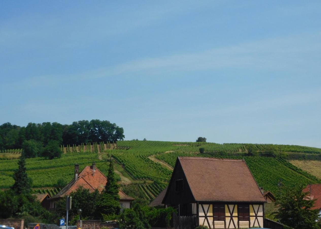 Gewurztraminer - Studio Au Pied Du Vignoble - Renove Recemment - Parking Gratuit ريكفيهر المظهر الخارجي الصورة