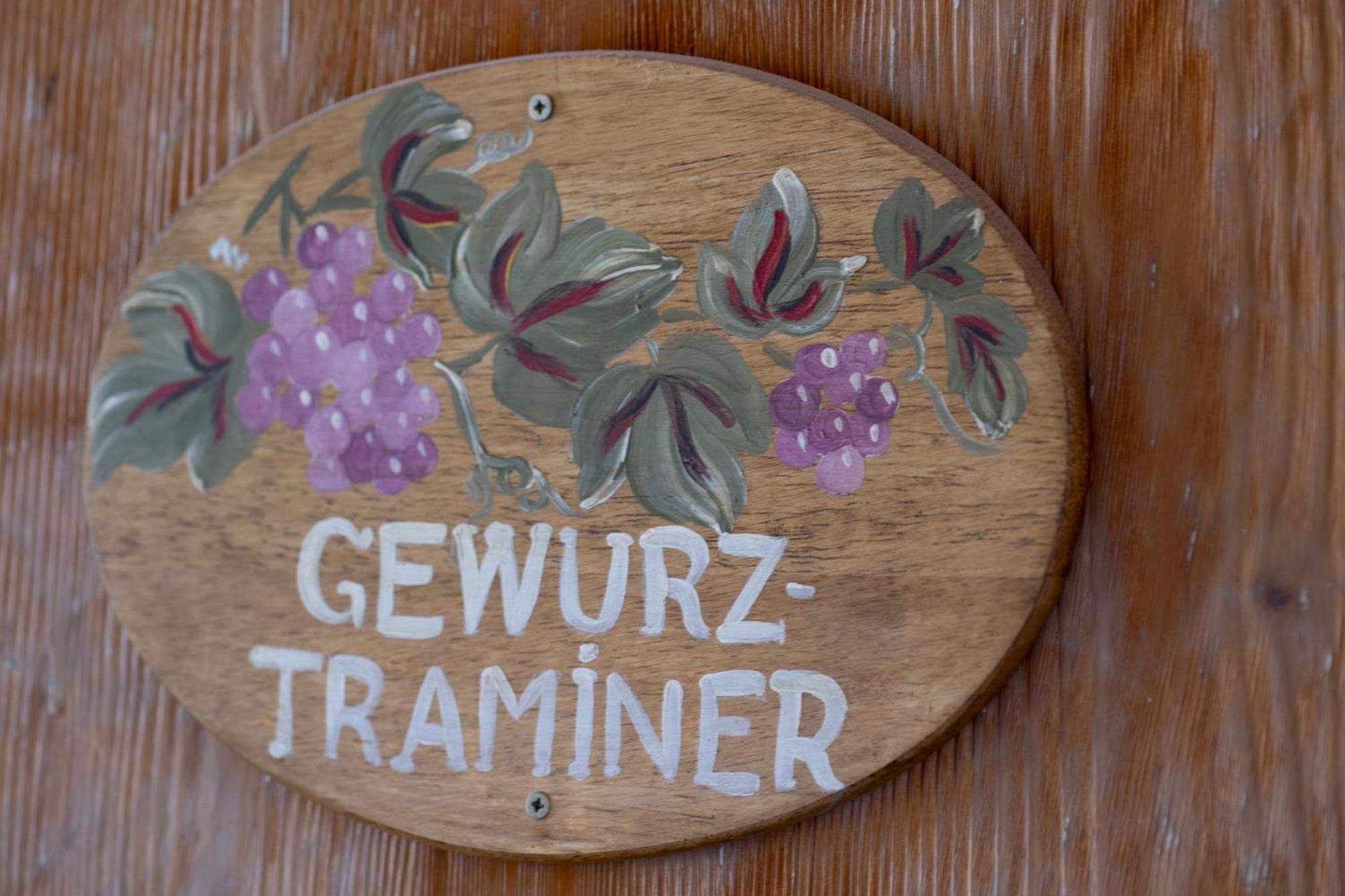 Gewurztraminer - Studio Au Pied Du Vignoble - Renove Recemment - Parking Gratuit ريكفيهر المظهر الخارجي الصورة
